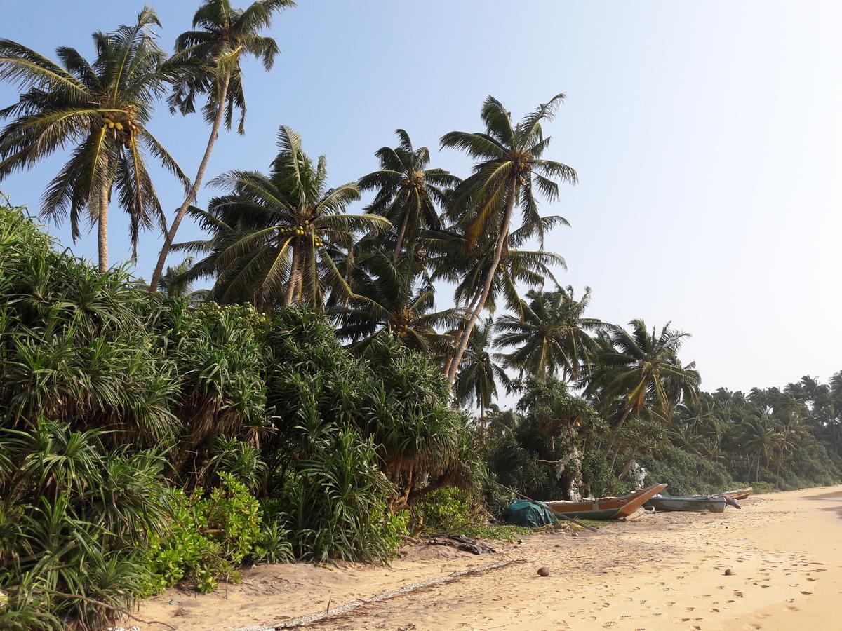 Leatherback Beach Villa 亚洪加拉 外观 照片