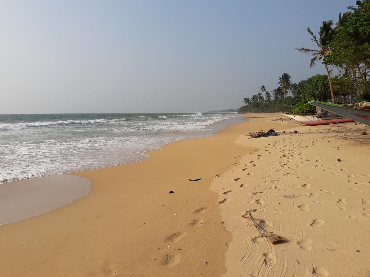 Leatherback Beach Villa 亚洪加拉 外观 照片