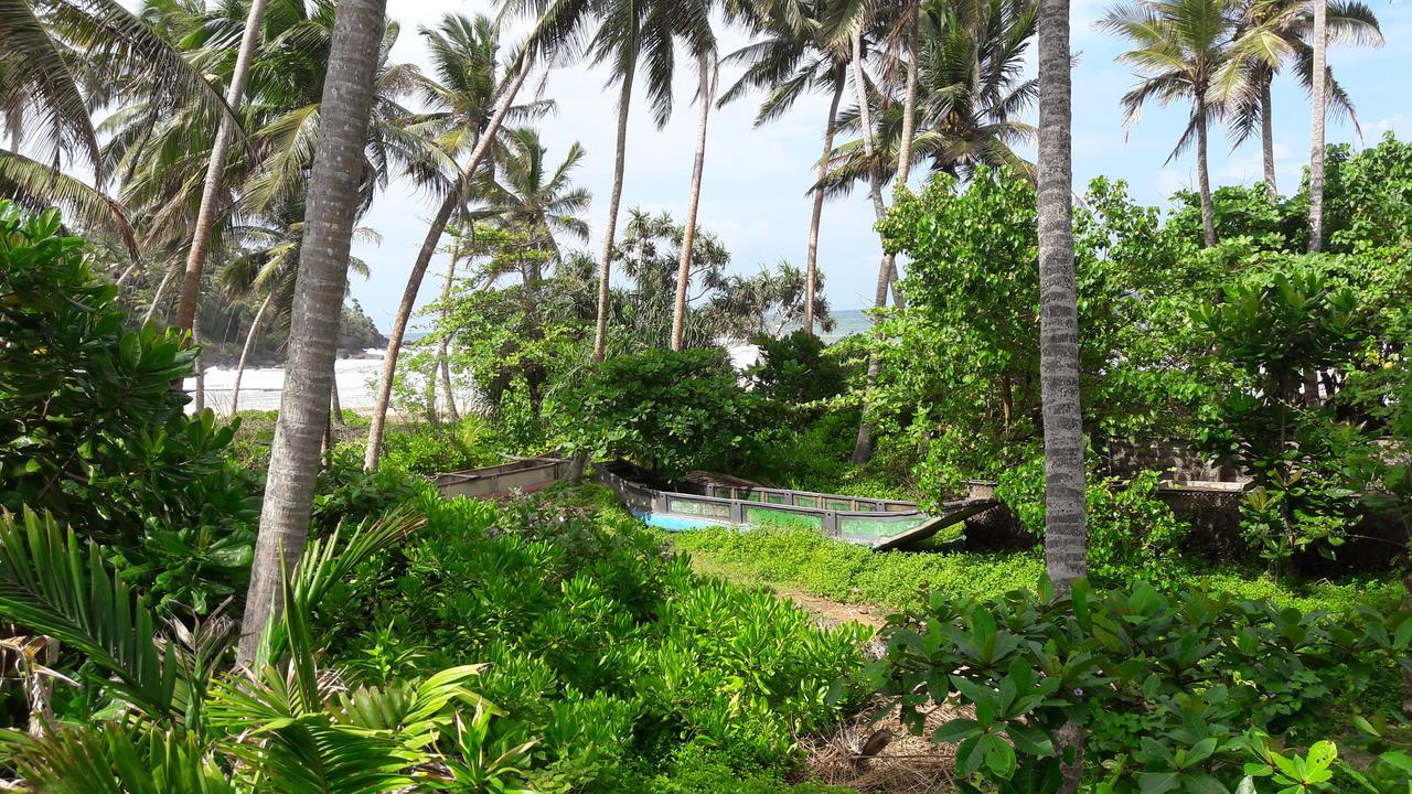 Leatherback Beach Villa 亚洪加拉 外观 照片