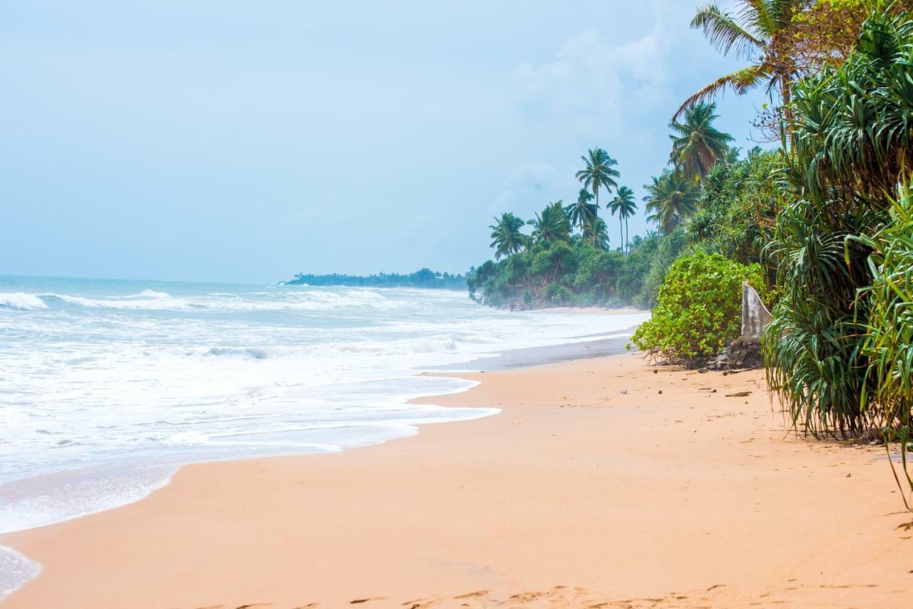 Leatherback Beach Villa 亚洪加拉 外观 照片