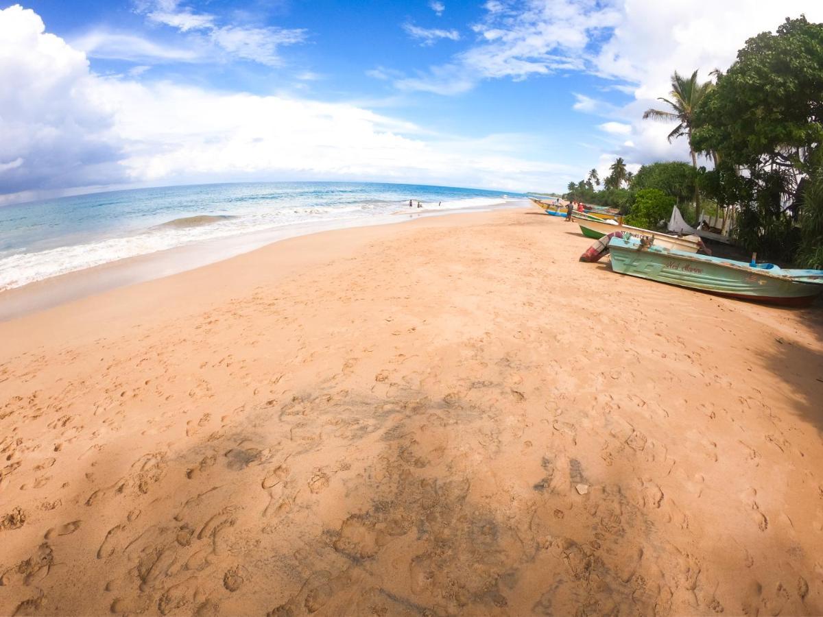 Leatherback Beach Villa 亚洪加拉 外观 照片