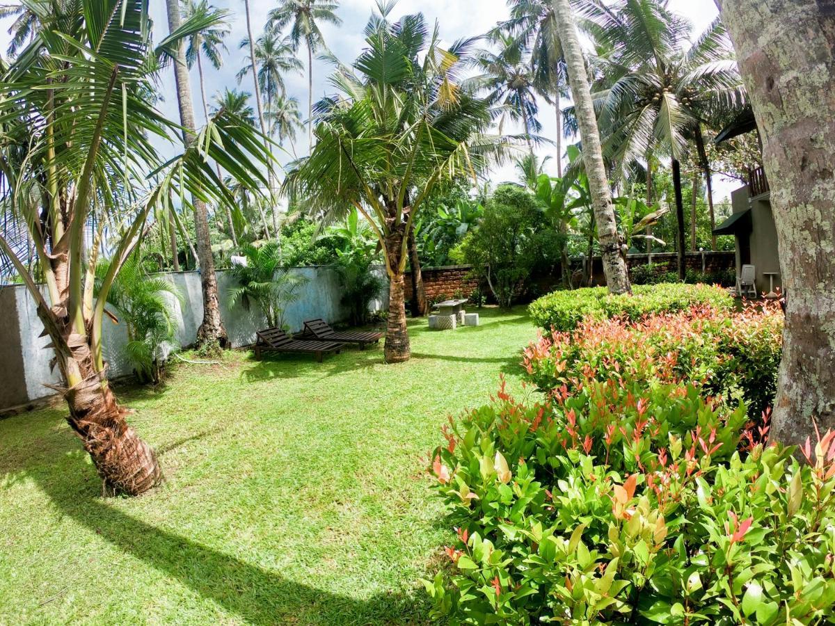 Leatherback Beach Villa 亚洪加拉 外观 照片