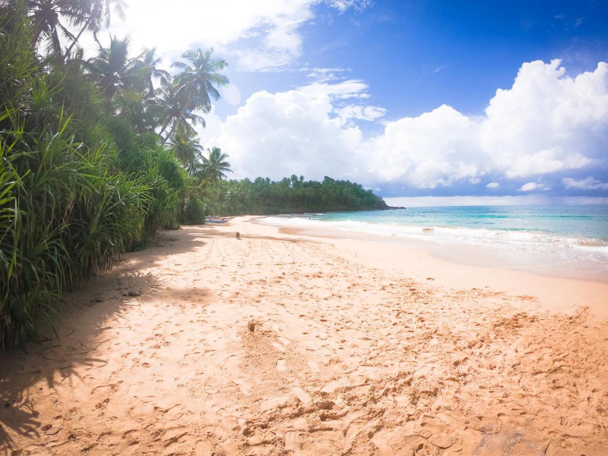 Leatherback Beach Villa 亚洪加拉 外观 照片